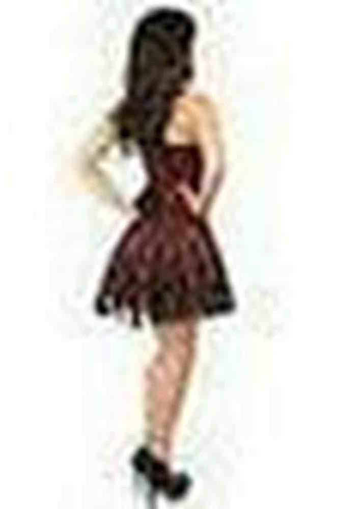 Lavish Red Lace Corset Dress - Daisy Corsets